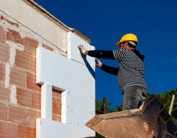 Best Types of Insulation in Wenona, IL
