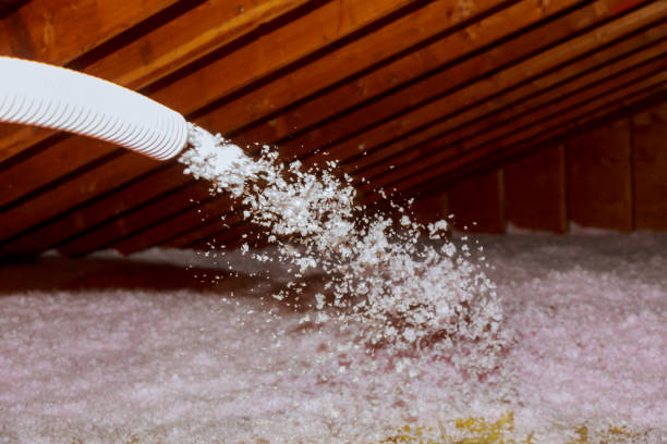Best Energy Efficiency Solutions in Wenona, IL