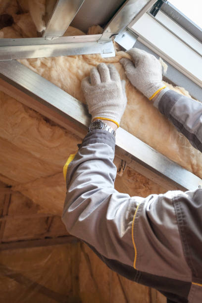 Best Insulation for Specific Applications in Wenona, IL