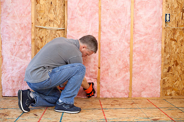 Best Insulation for Specific Applications in Wenona, IL