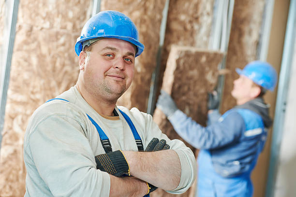 Best Residential Insulation in Wenona, IL