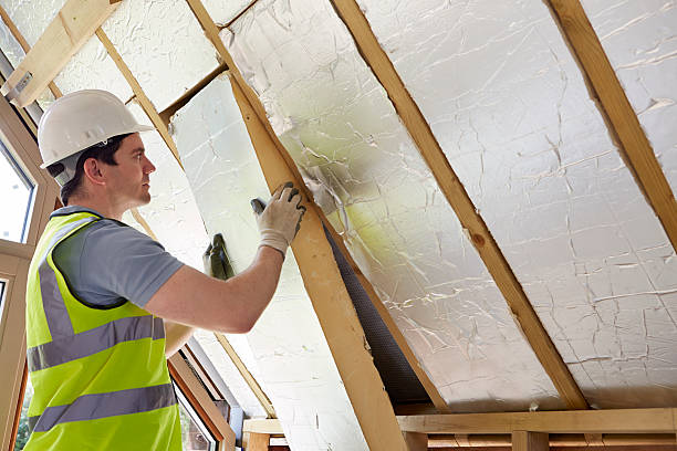 Best Types of Insulation in Wenona, IL